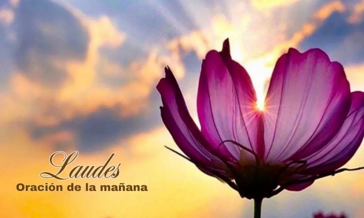 Laudes