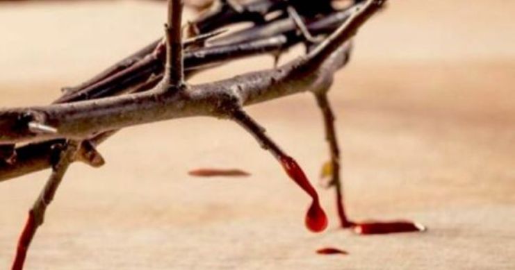 ¿Por qué julio es el mes dedicado a la Preciosísima Sangre de Cristo? La historia que quizá no conoc