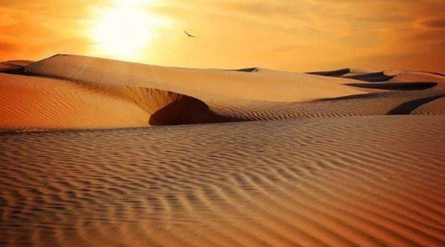 5 CONSEJOS IMPERECEDEROS DE LOS PADRES DEL DESIERTO PARA VIVIR LA CUARESMA