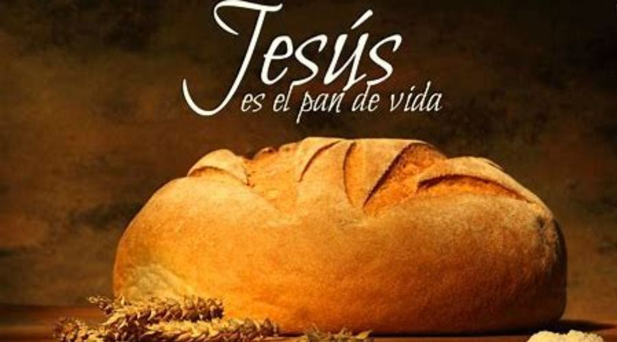 Yo soy el pan vivo