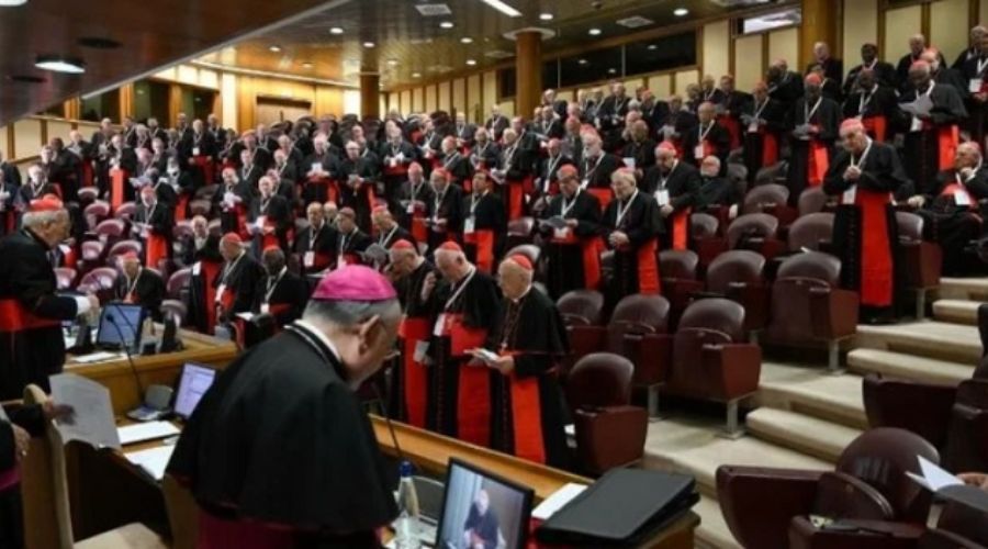 IX Congregación General de Cardenales: unidad, profecía y misión