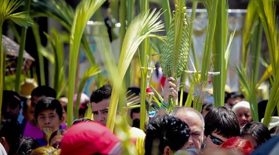 ¿Por qué se usan las palmas el Domingo de Ramos en el inicio de la Semana Santa?