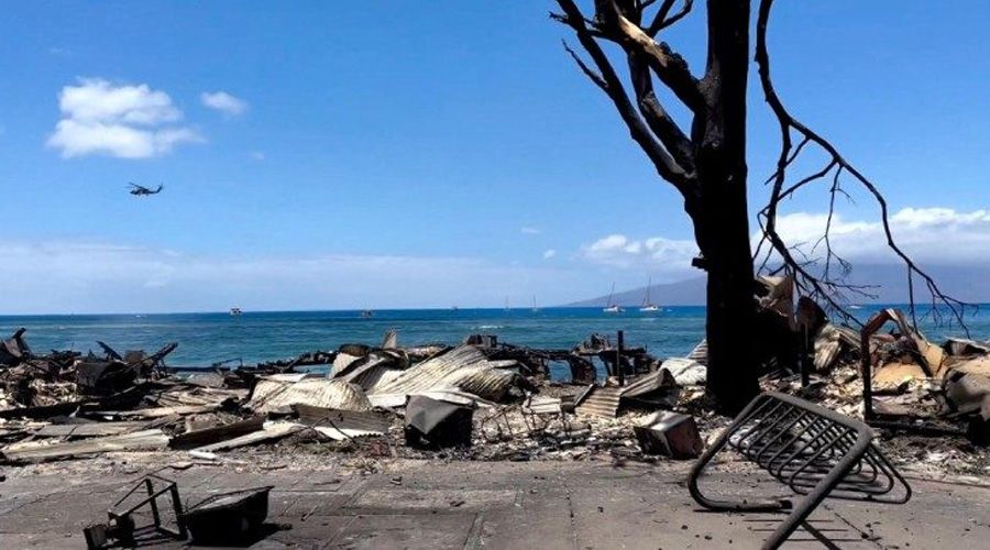 El dolor del Papa por las víctimas de los incendios en Hawái