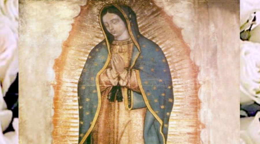 Amar a la Virgen de Guadalupe es amar a su Hijo