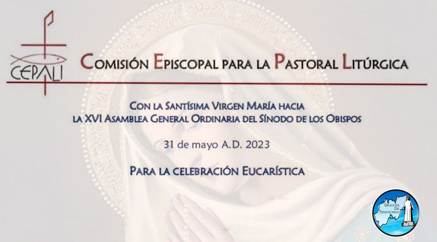 SUBSIDIO DE ORACIOM POR EL SÍNODO