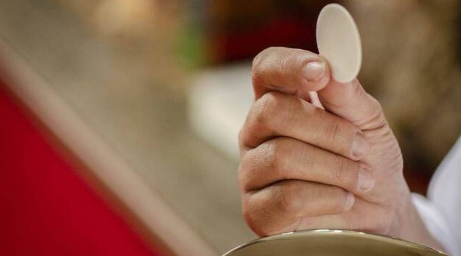 La Eucaristía, el mejor remedio para todos los sufrimientos