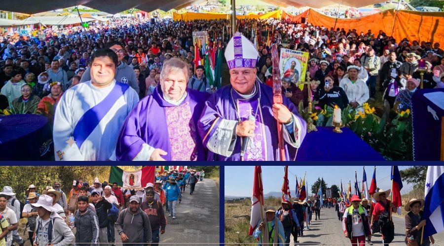 XVI Peregrinación Diocesana a la Basílica de Guadalupe - Año Jubilar 2025 