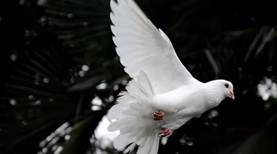 5 cosas que quizás no sabías y que eran fundamentales para los primeros cristianos