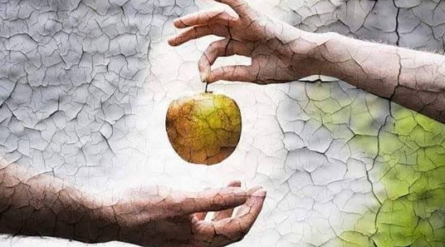 LA TEOLOGÍA DE LA MANZANA