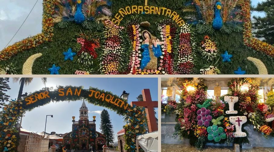 Fiesta patronal de Santa Ana Ixtlahuatzingo: en  memoria de San Joaquín y Santa Ana