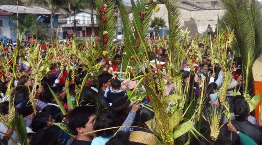 ¿De dónde vienen las palmas que usamos para celebrar el Domingo de Ramos?