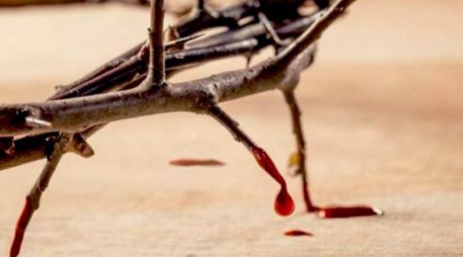 ¿Por qué julio es el mes dedicado a la Preciosísima Sangre de Cristo? La historia que quizá no conoc