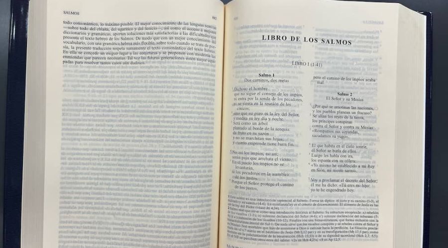 ¿Qué son los Salmos en la Biblia y cuántos son?