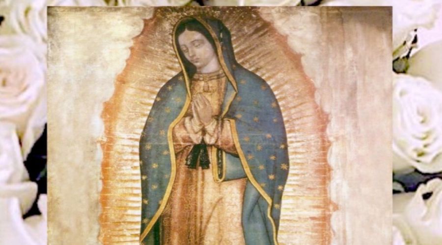 Guadalupe: su sola presencia, todo lo hace hermoso