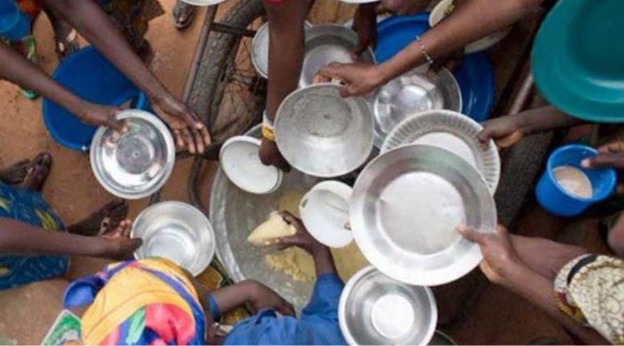 800 millones de personas padecen hambre en el mundo