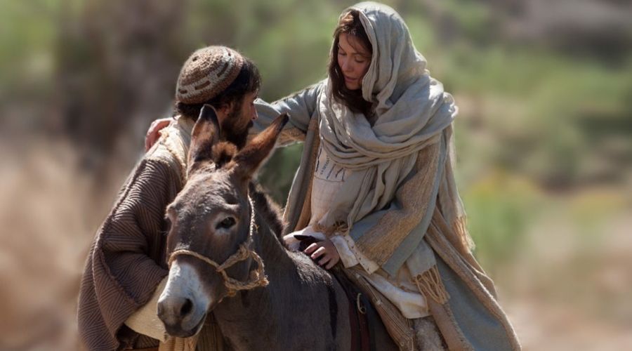 Novena de Navidad día 2: La Comprensión (17 de diciembre)