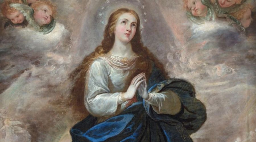 Aprende estas 5 oraciones marianas para acudir a la Virgen en todo momento