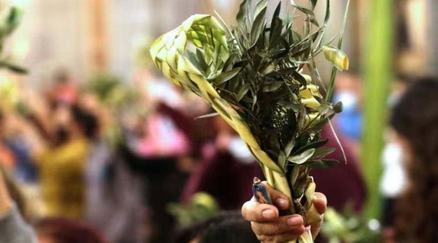 Domingo de Ramos en Tenancingo: una tradición viva para los católicos