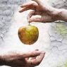 LA TEOLOGÍA DE LA MANZANA