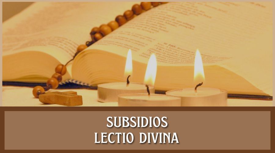 Lectio Divina: XXXIII Domingo Del Tiempo Ordinario