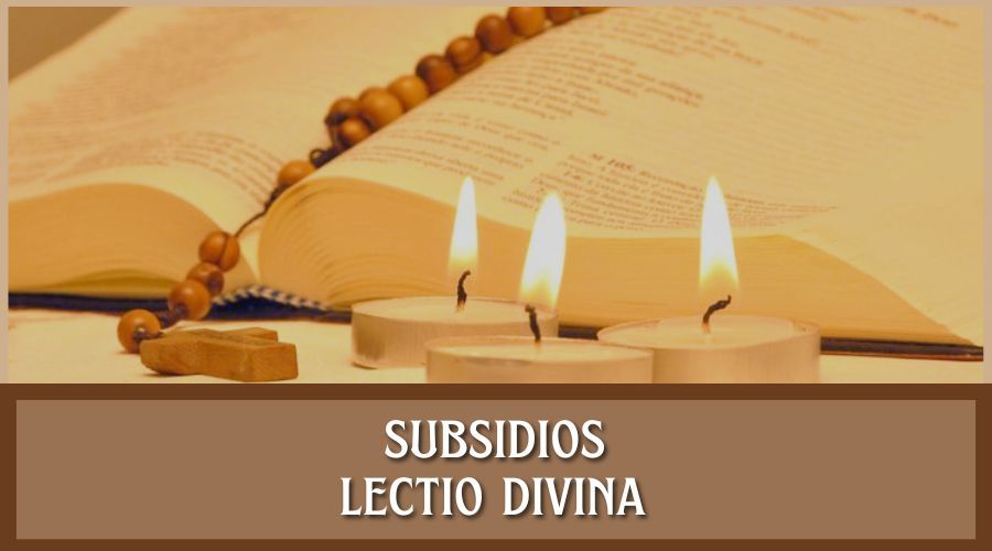 Lectio Divina: XXXll Domingo Del Tiempo Ordinario